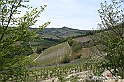 VBS_3114 - Mango (Cuneo) - Gnomovia